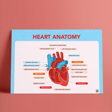 Advanced Posters Bundle _ مجموعة ملصقات المتقدمة
