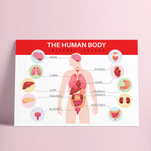 Basics Posters Bundle Green Clock _ مجموعة الأساسيات مع ساعة خضراء